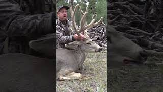 Archery Mule Deer Hunt in Velvet [upl. by Leirza751]