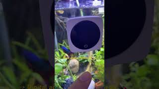 Digital thermometer 🌡️ for aquarium YEE brand aquarium bettafish nanotank plantedtank [upl. by Blodget]