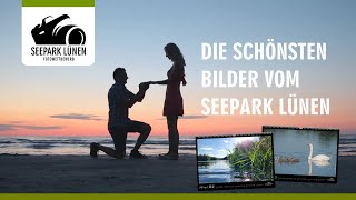 Fotowettbewerb Seepark Lünen  Die schönste Bilder werden gesucht [upl. by Rapsac578]