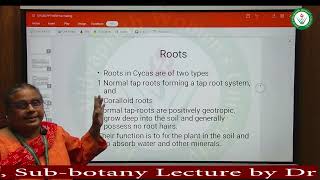 Topic Cycas Subject botany Lecture by Dr Anupama Goyal FEM [upl. by Hayila]