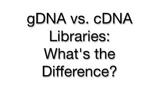 DNA Libraries Genomic vs cDNA  Key Differences and Applications [upl. by Voltz]