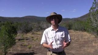 Introduction To Desert Survival With Tony Nester [upl. by Cam590]