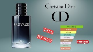 Dior Sauvage EDT Perfume Review  Still Worth in 2024 [upl. by Kcaj116]