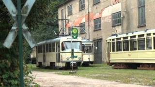 Die Straßenbahnen des HSM [upl. by Chucho]