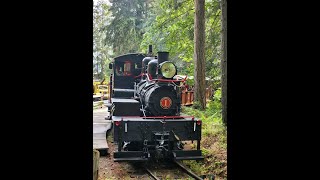 Railfanning the Hillcrest Shay 1 at BC Forest Discovery Centre [upl. by Eaner430]