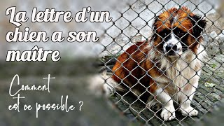 La lettre dun chien à son maître [upl. by Dupin]