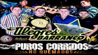 Los Alegres del Barranco  Tres Gallos En VivoCorrido [upl. by Boyden]