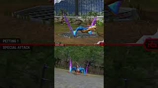 DIMORPHODON ALL EVOLUTION amp DIMORPHODON ALL ANIMATION  Jurassic World The Game [upl. by Nosa709]