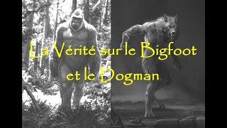 La Vérité sur le Bigfoot et le Dogman [upl. by Nnahteb]