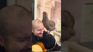 Kikiribu Mandinga  Guitar Solo feat Cookie La Gallina Araucana AndreasMerkelOfficial [upl. by Ennairek]