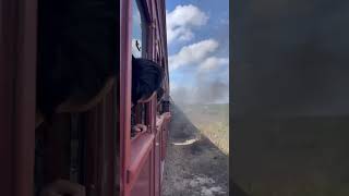 SteamRanger Heritage Railway Victor habour to goolwa south australia [upl. by Ellevehc]