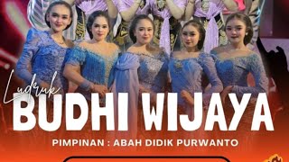 GEBYAR SENI LUDRUK BUDHI WIJAYA LIVE TENGGOR BALONG PANGGANG VRESIK [upl. by Joana]