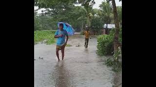 bangladesh Road shortsvideo shortvideo shortsfeed shorts short subscribe village vlog [upl. by Lonnie]