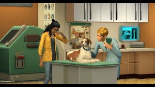 The Sims 4 How care at the veterinary clinic works [upl. by Ardnoik143]