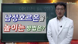 남성호르몬을 높이는 방법은 [upl. by Llessur861]