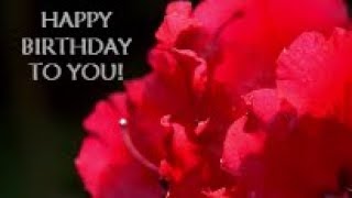 Delightful Happy Birthday Video Card  With dancing flowers 3 [upl. by Myna]