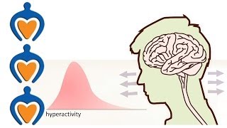 ADHD  What is it and whats the difference with ADD [upl. by Shornick752]