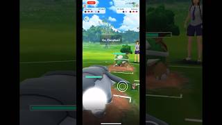 DONPHAN VS TORTERRA pokemongopvp pokemon pokemongo [upl. by Giordano754]