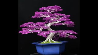 Bonsai tree art ideas from steel wire 01 [upl. by Mathi]