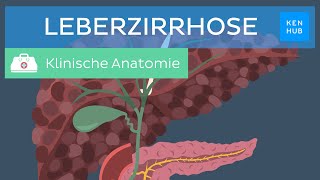 Leberzirrhose Ursachen Symptome Diagnose Behandlung  Kenhub [upl. by Ernaldus]