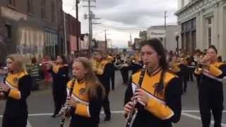 Goreville band in Veterans Parade [upl. by Menis]