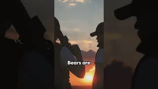 Bear Hunting 101 Pro Tips bearhunting bearhunt [upl. by Kalindi216]