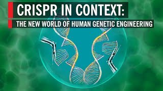 CRISPR in Context The New World of Human Genetic Engineering [upl. by Cocke944]