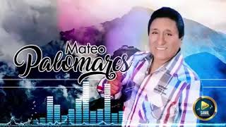 Mateo palomares [upl. by Ahsenor]