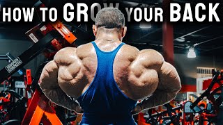 Full Back Workout  Explained [upl. by Ailyn]