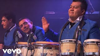 Los Ángeles Azules  Cumbia Coqueta Live [upl. by Hsiekal]