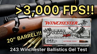 MACH 27 243 Winchester Deer Season XP 95gr Ammo Test [upl. by Nove298]