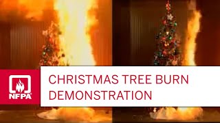 Christmas Tree Burn Demonstration [upl. by Gardie]