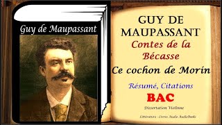 Guy de Maupassant Contes de la Bécasse  Ce cochon de Morin Résumé Analyse Citations [upl. by Alcinia]