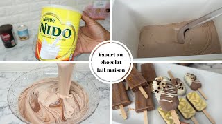 YAOURT AU CHOCOLAT 🍫  UNE RECETTE A TESTER Shalou Cuisine [upl. by Kere735]