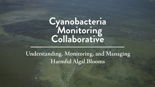 Cyanobacteria Monitoring Collaborative – Understanding Monitoring and Managing Harmful Algal Blooms [upl. by Ier]