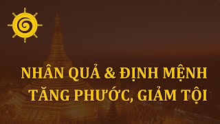 Sự Giống amp Khác Giữa Nhân Quả  Định Mệnh Cách Tăng Phước Báu Và Giảm Ác Nghiệp [upl. by Ainig]