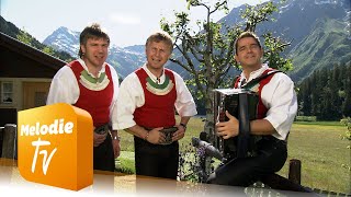 Trio Alpin  Die Berg ham an Gipfel Offizielles Musikvideo [upl. by Alegnaed]