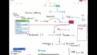 Intrinsic vs extrinsic and kinin pathway haematology 21 First Aid USMLE Step 1 in UrduHindi [upl. by Tatum]