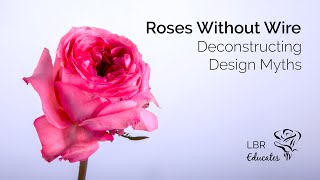 Deconstructing Design Myths Should You Wire Roses [upl. by Hanimay70]