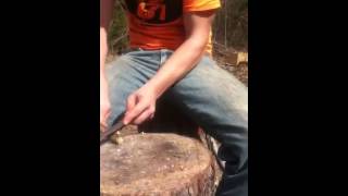 How to make a primitive atlatl [upl. by Yelbmik]