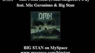 DMX  Shits Still Real feat Mic Geronimo amp Big Stan [upl. by Weidman108]