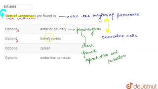 Islets of Langerhans are found in  11  CHEMICAL COORDINATION AND INTEGRATION  BIOLOGY  PRAD [upl. by Alene]