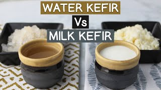 Water Kefir Vs Milk Kefir Using Kefir Grains Not Powders [upl. by Annohs]