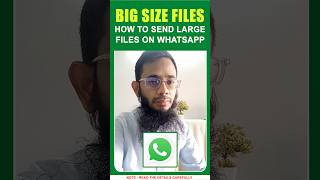 How To Send Large Files On Whatsapp [upl. by Yancey]