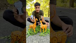 Rc Remote Control Two Giraffe 🦒 vs Deer ki testing 😜 [upl. by Dnama]