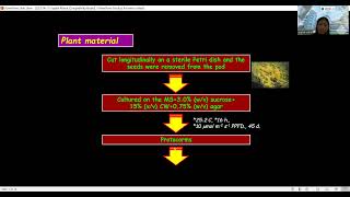 Cryopreservation of protocormlike bodies PLBs of Phalaenopsis cornucervi Breda Blume amp Rchb f [upl. by Llebasi501]