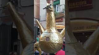 Golden eagle dances Àliga de Tarragona Catalonia Walking tour Spain shorts [upl. by Mcdowell]