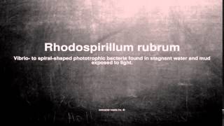 Medical vocabulary What does Rhodospirillum rubrum mean [upl. by Schilt]