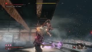 Genichiro Ashina Sword Moveset  Sekiro Malevolence [upl. by Kiel]