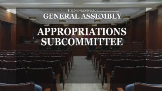 House Appropriations Subcommittee April 1 2024 House Hearing Room 3 [upl. by Nivrae]